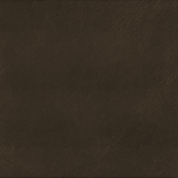 COSMOS - PREMIUM ITALIAN UPHOLSTERY WHOLE HIDES thumbnail