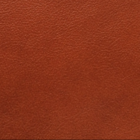 REMBRANT - PREMIUM ITALIAN UPHOLSTERY WHOLE HIDE thumbnail