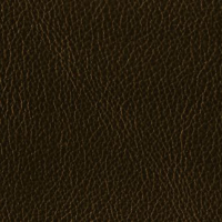 TROPHY - PREMIUM ITALIAN UPHOLSTERY WHOLE HIDE thumbnail