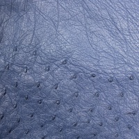 OSTRICH LEATHER - VARIOUS COLOURS thumbnail