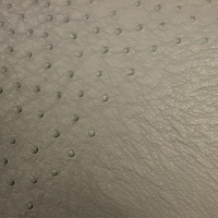 OSTRICH LEATHER - VARIOUS COLOURS thumbnail