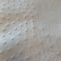 OSTRICH LEATHER - VARIOUS COLOURS thumbnail